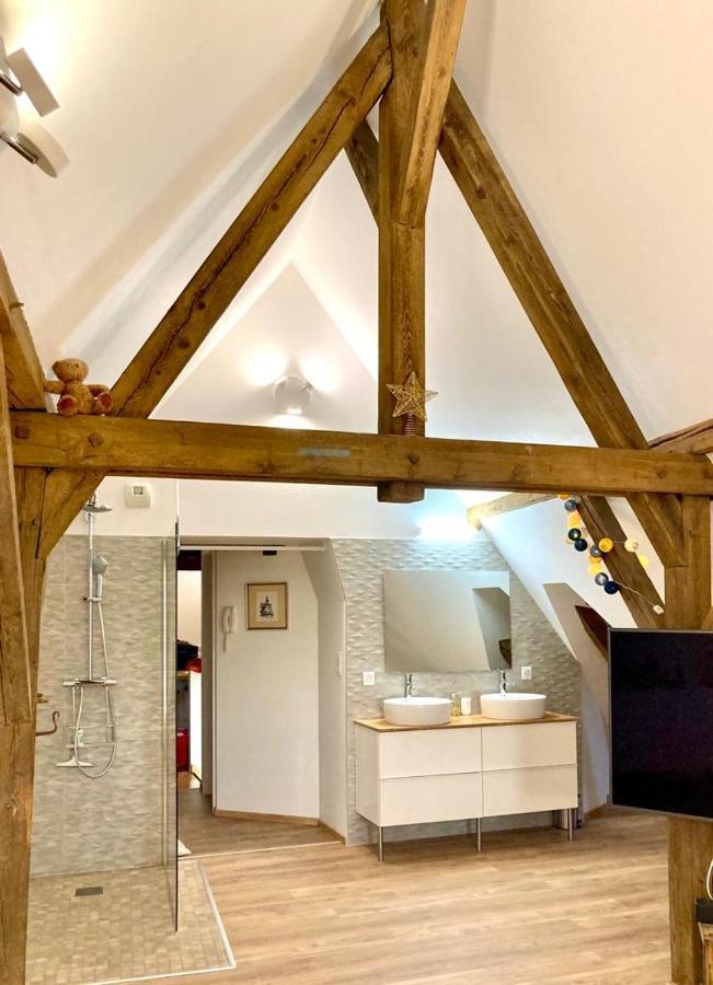 דירות קולמר Le Loft מראה חיצוני תמונה