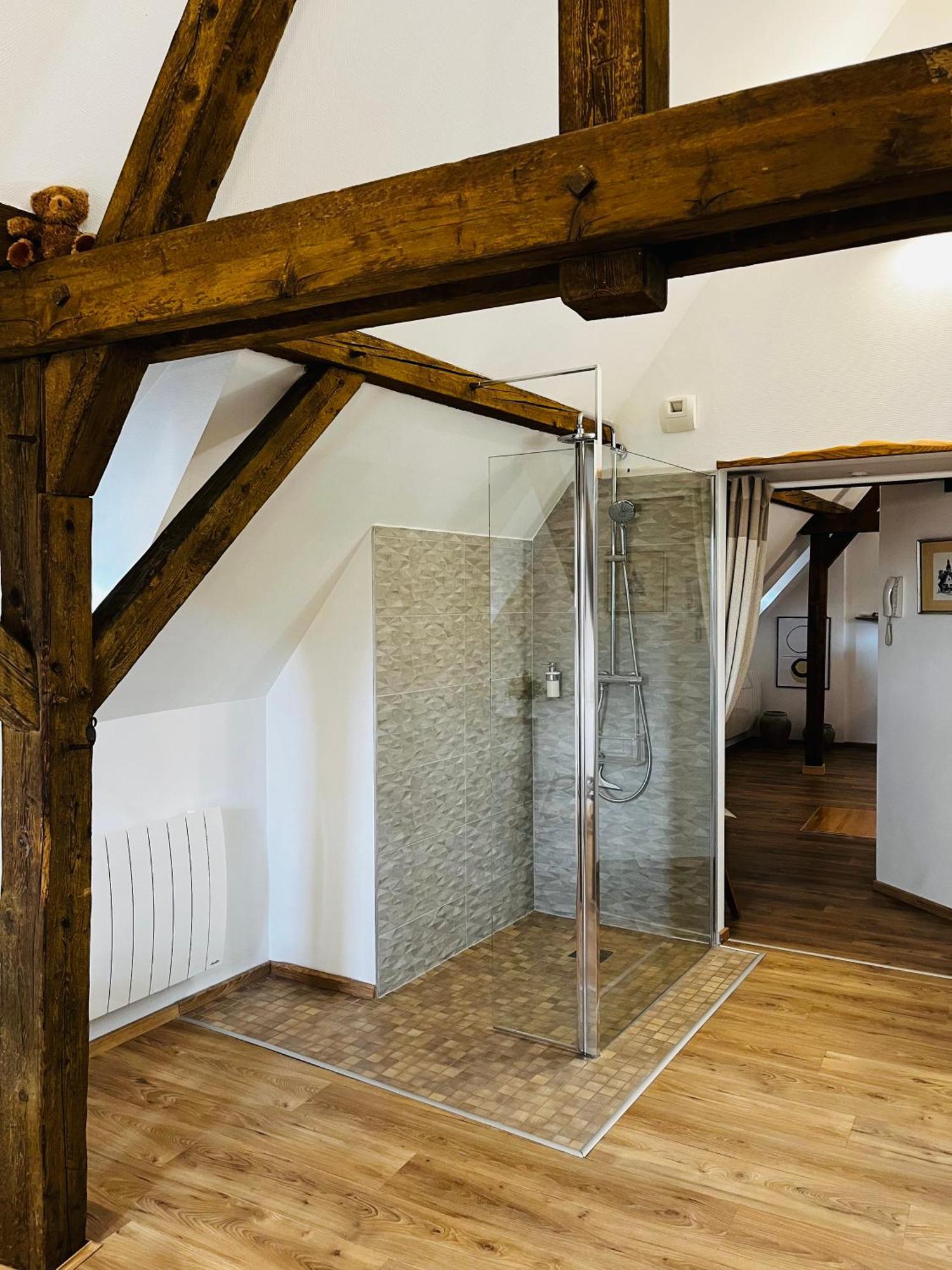 דירות קולמר Le Loft מראה חיצוני תמונה